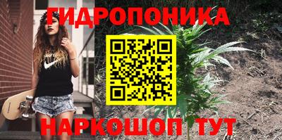 гидропоника Холмск