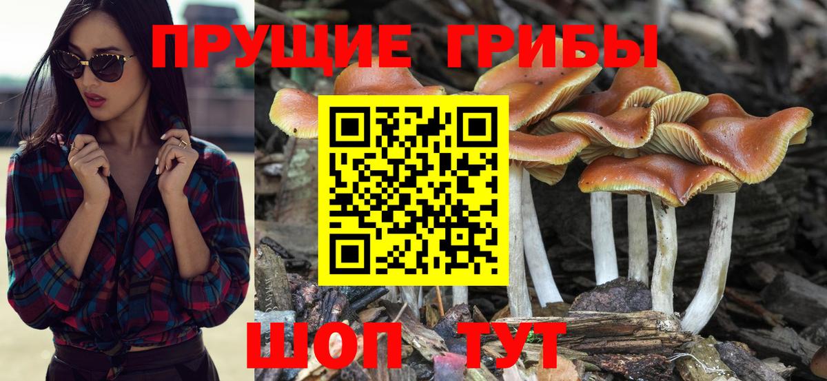 Псилоцибиновые грибы мицелий Лангепас