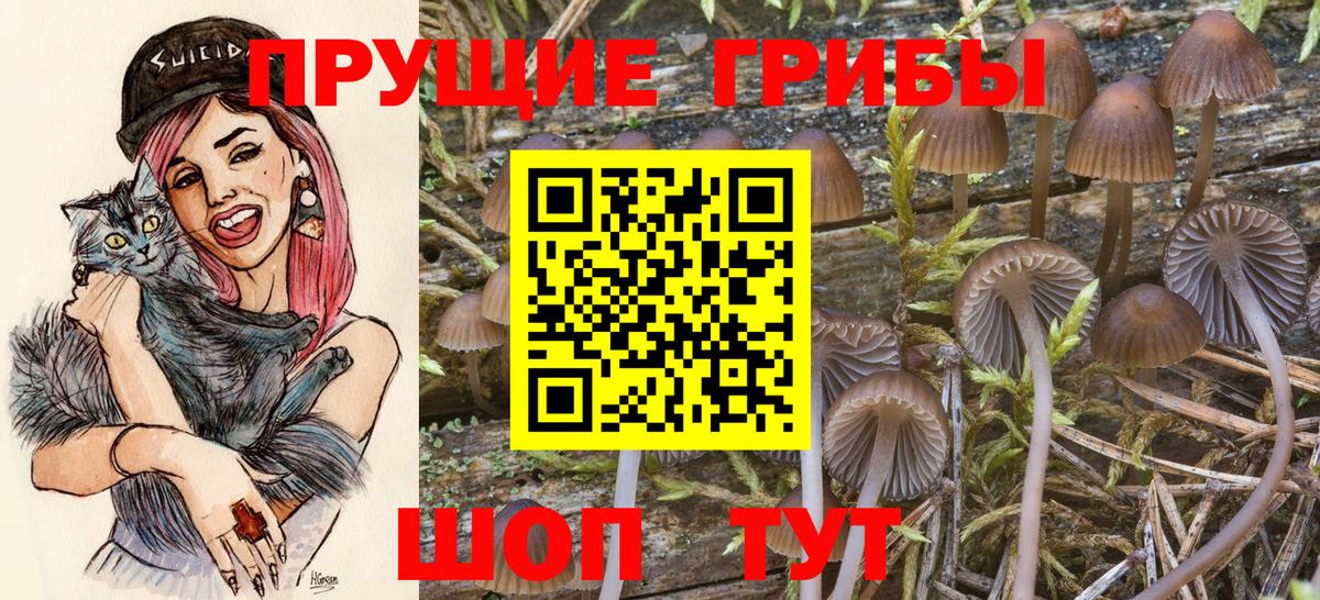 купить наркоту  Псилоцибиновые грибы Psilocybe  Вход с VPN  Лангепас 